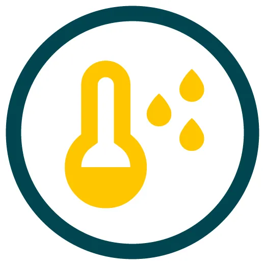 Soluciones sostenibles que generan impacto